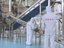 2025年的第一個(gè)月，承德亞歐果仁有限公司在山杏產(chǎn)業(yè)的道路上持續(xù)奮進(jìn)，展現(xiàn)出蓬勃的發(fā)展活力。